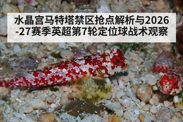 水晶宫马特塔禁区抢点解析与2026-27赛季英超第7轮定位球战术观察